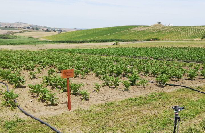 Rigenerarsi in Molise, in armonia con i cicli della natura
 2